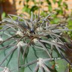 Collecion de MayteDenia
