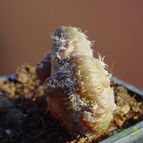 Collecion de MayteDenia