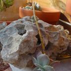 Collecion de MayteDenia