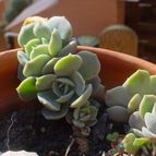 Collecion de MayteDenia