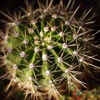 Collecion de MontseReus