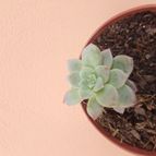 Collecion de PaulaVargas11