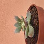 Collecion de PaulaVargas11