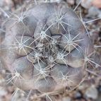 Collecion de SusanaK0702