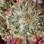 Collecion de SusanaK0702