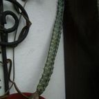 Collecion de adriana-gimenez