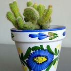 Collecion de afma