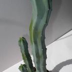 Collecion de agroman2011