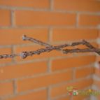 Fotografía tomada por alcantara