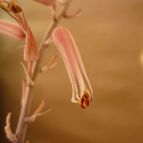 72893