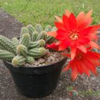 Collecion de andre_fr2