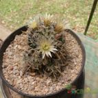 Collecion de andre_fr2