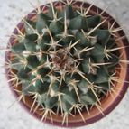 Collecion de barajo3k