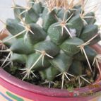 Collecion de barajo3k