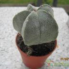 Collecion de barajo3k