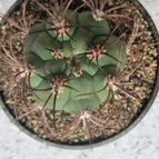 Collecion de barajo3k