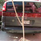 Collecion de biznago24