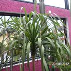 Collecion de biznago24