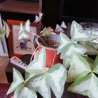 Collecion de cesarschuster