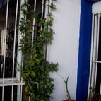 Collecion de chika-mundo