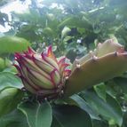 Fotografía tomada por cuaradr6