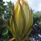 Fotografía tomada por cuaradr6