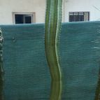 Collecion de fergonzalez