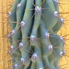 Fotografía tomada por fergonzalez