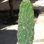 Collecion de hugobat