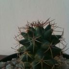Collecion de jorgecarlos