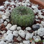 Collecion de luisalbert0012