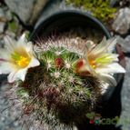 Fotografía tomada por margim02