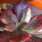 Fotografía tomada por margim02