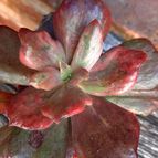 Fotografía tomada por margim02