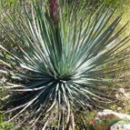 Collecion de margim02