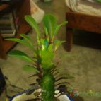 Collecion de marita82