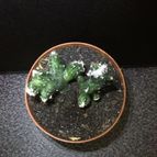 Collecion de ouribeb930