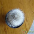 Collecion de pachec0x