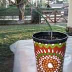 Collecion de rosmy743