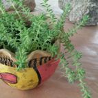 Collecion de rosmy743
