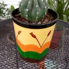 Collecion de rosmy743