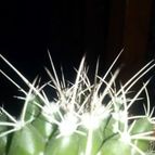 Collecion de sebastiandep