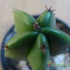 Collecion de sergiojcp