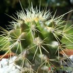 Collecion de sergiojcp