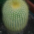 Collecion de valeria106631