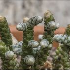 Fotografía tomada por vallverdu