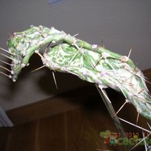 A photo of Opuntia monacantha fma. variegada