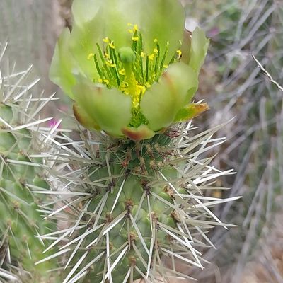 Fotografía tomada por Emilio V