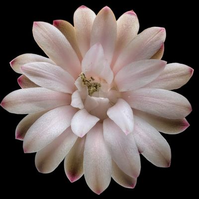 Fotografía tomada por Peinado