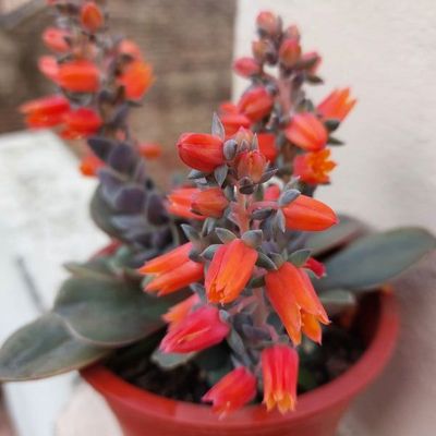 Fotografía tomada por SusanaK0702